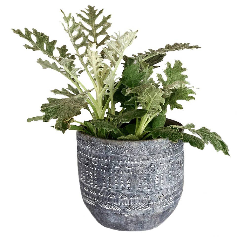 Aborigin Planter - Small