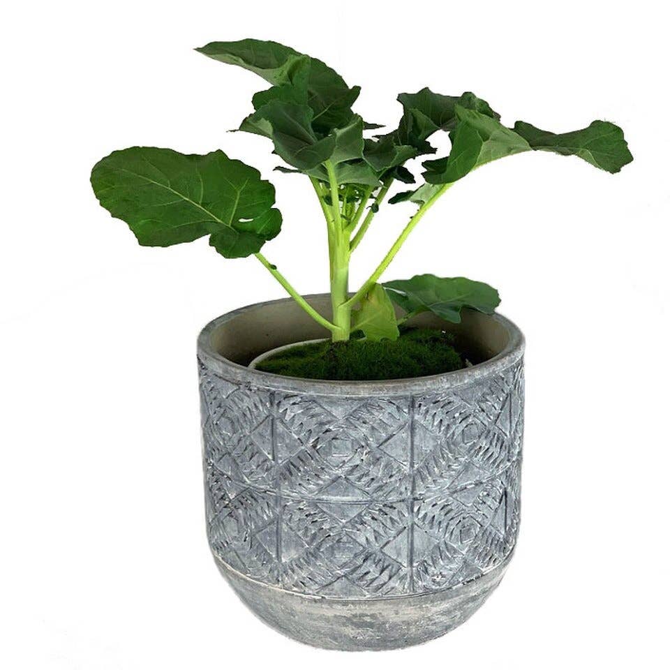 Aborigin Planter - Medium