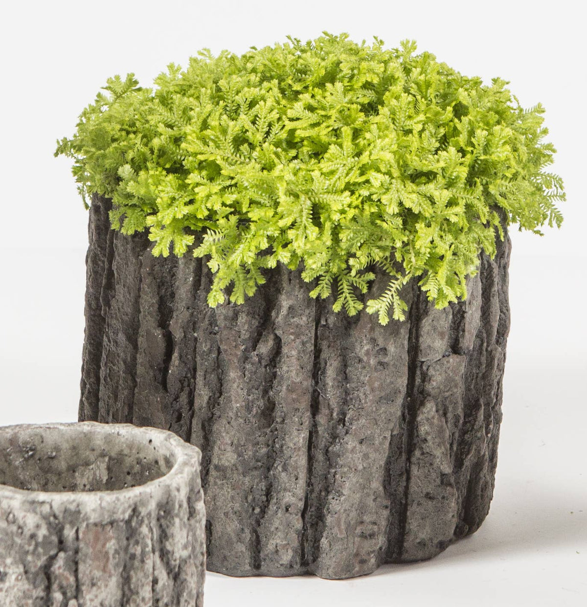 X-Large Round Concrete Pot with Bark Motif