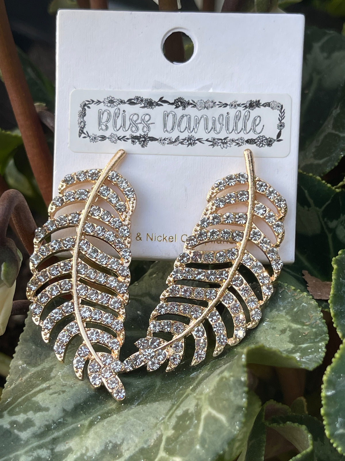 Feather Beauty Earrings