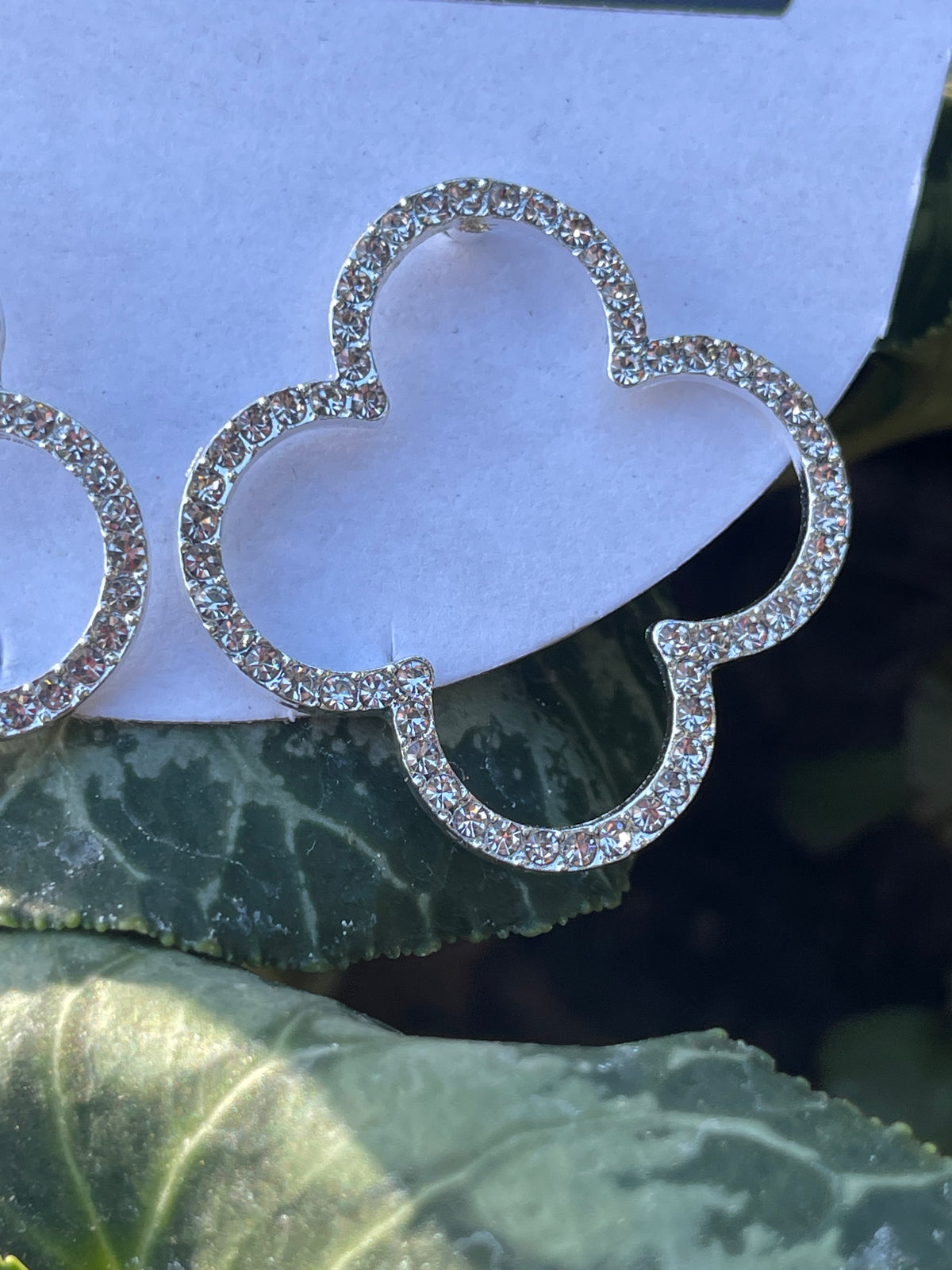 Clover Beauty Earrings