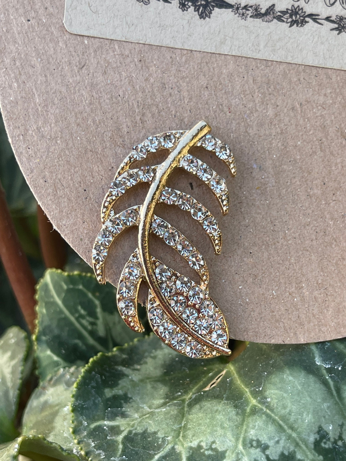 Feather Beauty Earrings