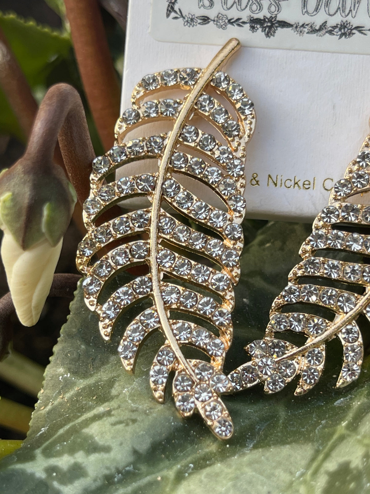 Feather Beauty Earrings