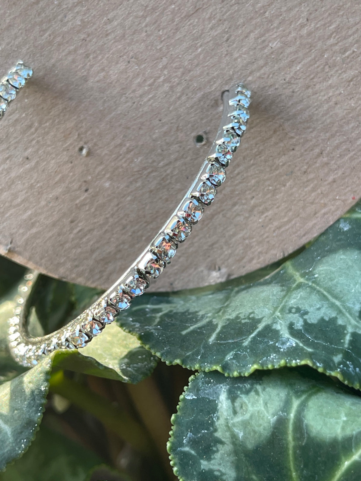 Hoops Beauty Earrings