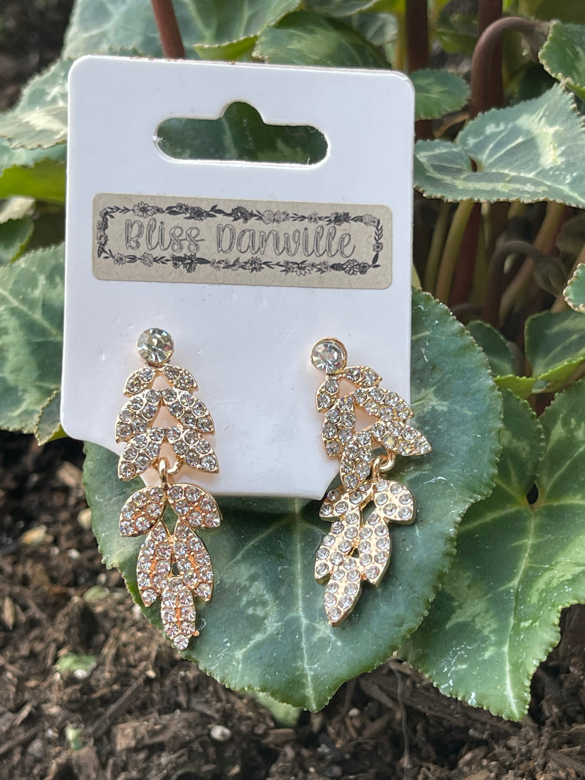 Trudit  Beauty Earrings