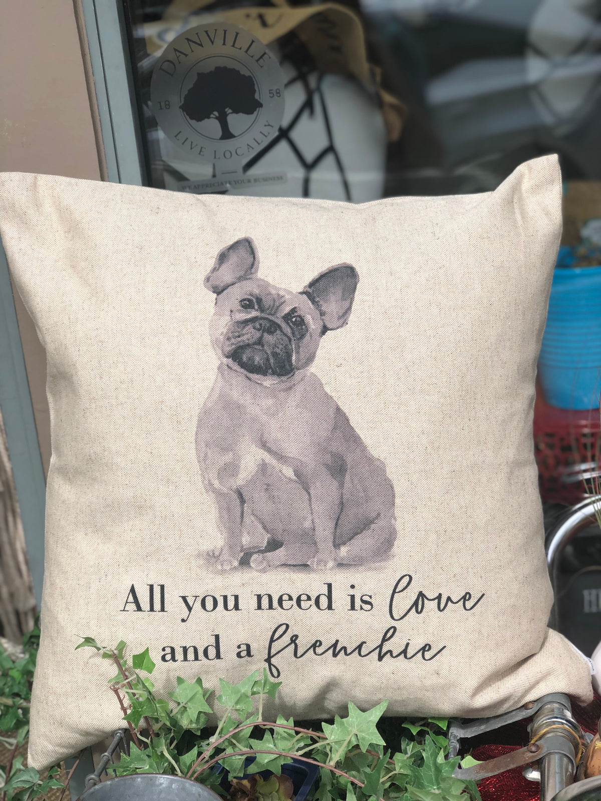All you need is FRENCHI PILLOW